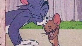 老鼠爱上猫,一场跨越物种的浪漫邂逅