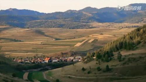 爱之溪流,温情涌动的生命篇章