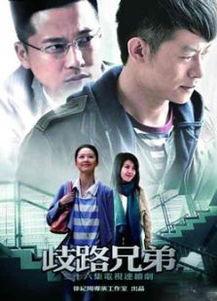 歧路兄弟,探寻人生抉择的迷宫之旅