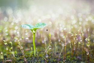 阳光总在风雨后 2019,2019年砥砺前行之路